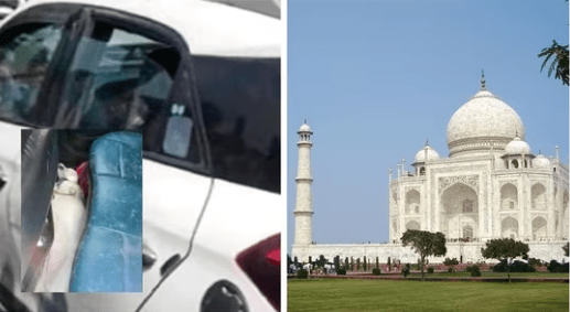 Irresponsible Actions Lead to Dog's Death in Car While Family Visits Taj Mahal