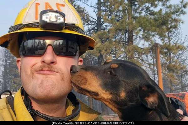 Oregon firefighter rescues dog