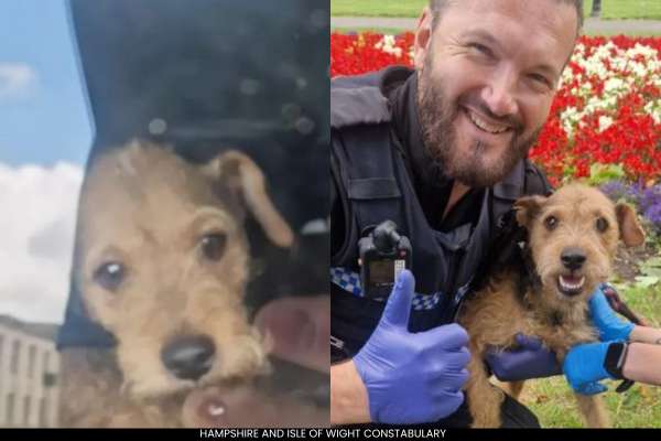 Southampton Officers Rescue Dog Trapped in Car for Days
