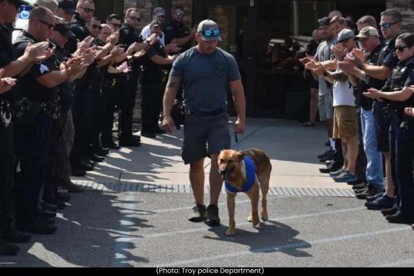 Heartwarming Recovery of Police Dog After Heroic Standoff with Suspect