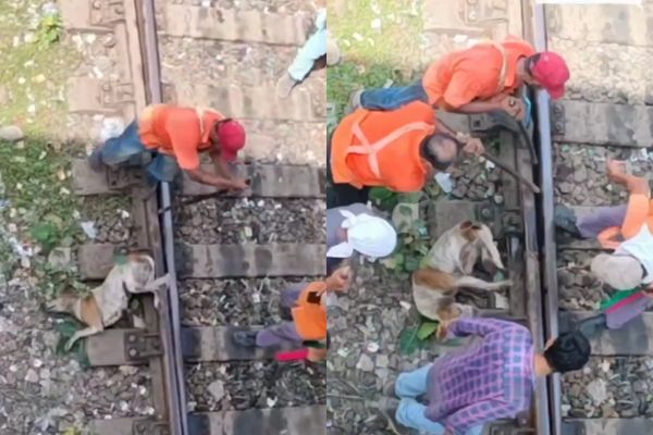 Internet Applauds Railway Workers Rescuing Dog Trapped Between Tracks in Viral Video