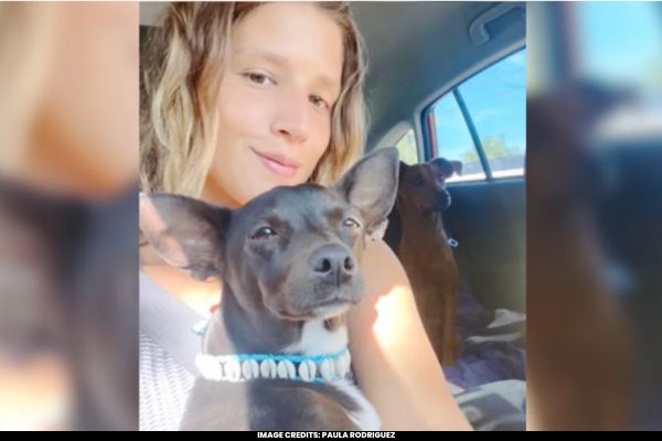 Paula Rodriguez was traveling through Atlanta airport when staff lost her dog Maia.