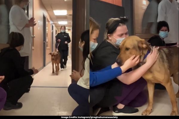 Heartwarming Video Captures Shelter Staff's Farewell to Dog Who Found Its ‘Forever Home’
