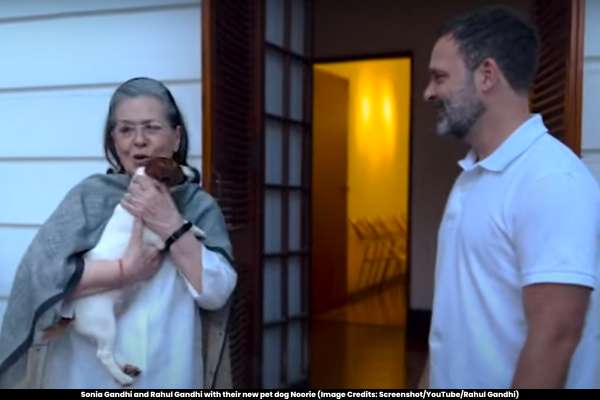 Rahul Gandhi's Heartwarming Surprise Welcoming Noorie, the New Family Pet