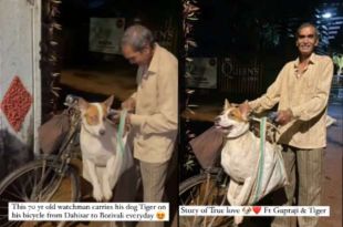 Viral Watch 70-Year-Old Security Guard Bicycles to Work with Pet Dog Daily