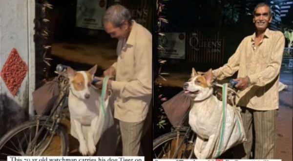 Viral Watch 70-Year-Old Security Guard Bicycles to Work with Pet Dog Daily