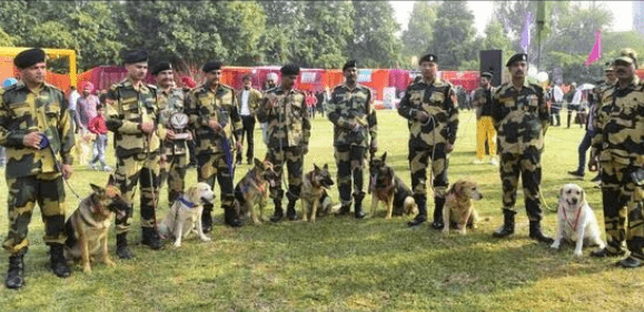 Guru Angad Dev Veterinary and Animal Sciences University's annual Dog Show in 2023