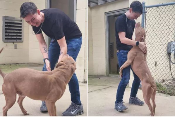 Pup Rescued