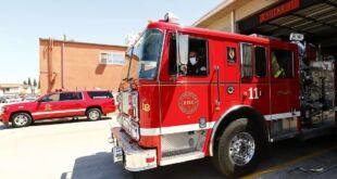 Tragedy in Long Beach: 32 Cats and a Dog Lost in Apartment Fire