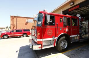 Tragedy in Long Beach: 32 Cats and a Dog Lost in Apartment Fire