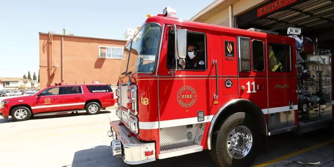 Tragedy in Long Beach: 32 Cats and a Dog Lost in Apartment Fire