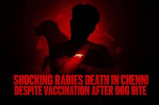 Shocking Rabies Death in Chennai Despite Vaccination After Dog Bite