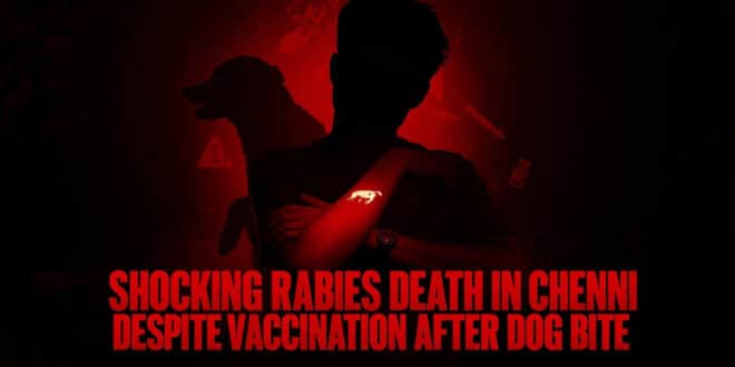 Shocking Rabies Death in Chennai Despite Vaccination After Dog Bite