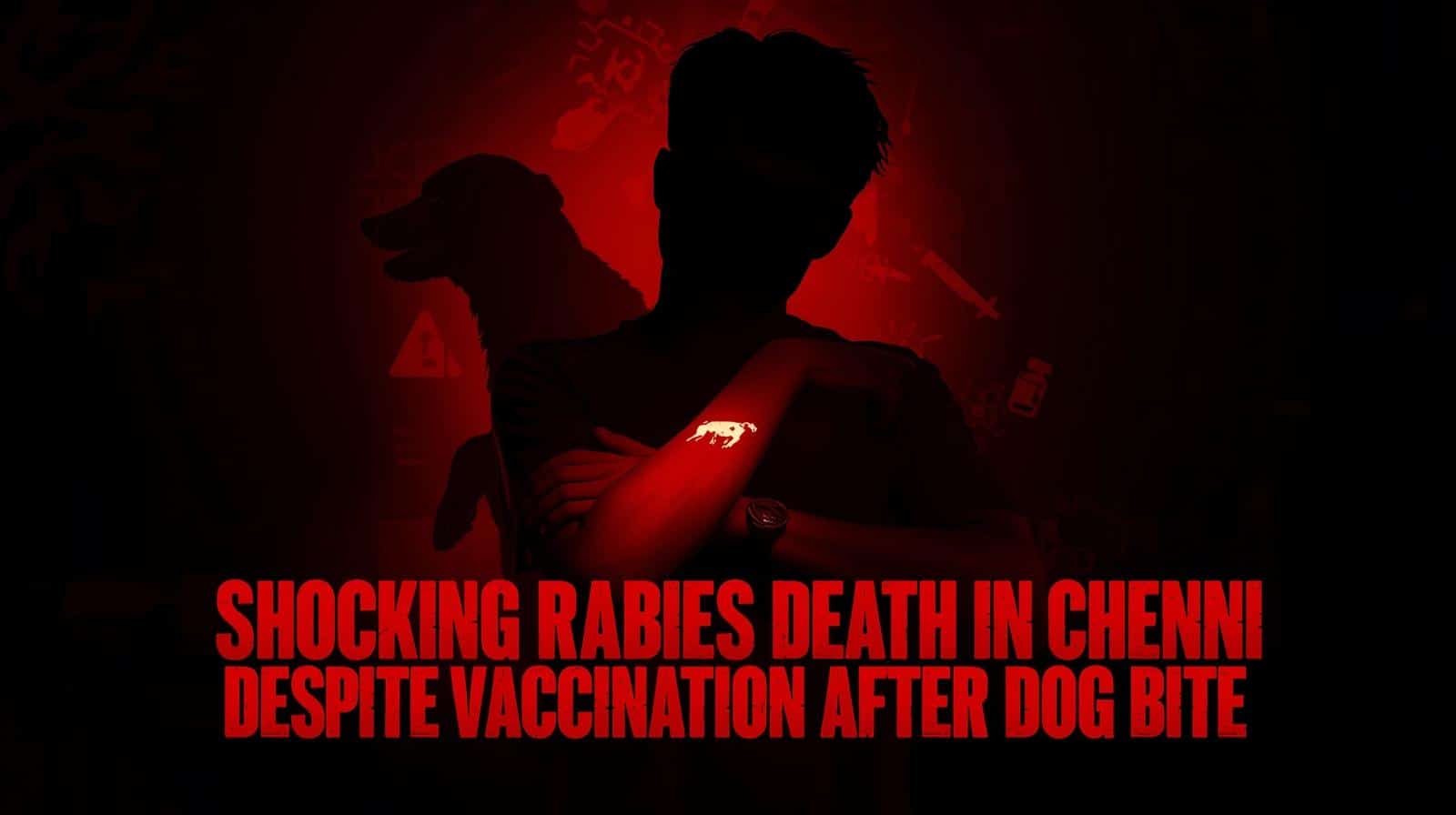 Shocking Rabies Death in Chennai Despite Vaccination After Dog Bite