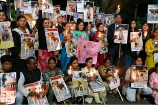 SC Ruling on Stray Dogs