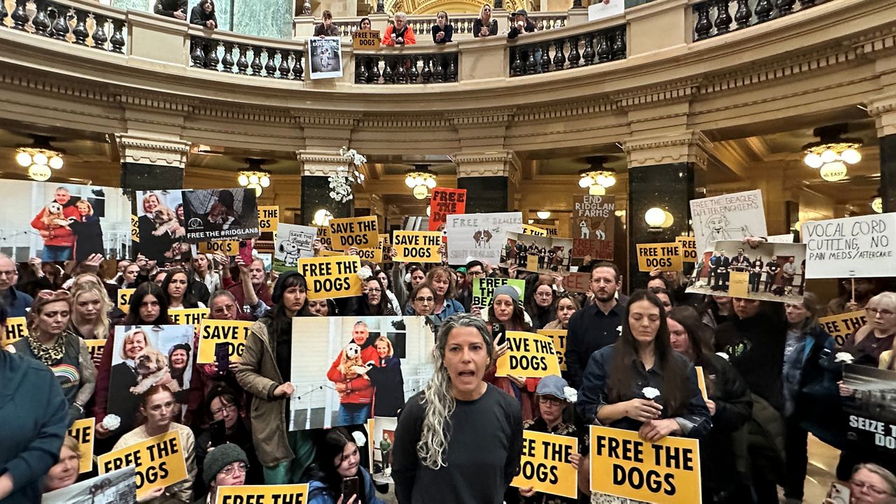 Hundreds of Protesters Storm Wisconsin Capitol Demanding Release of 2,000 Beagles From Research Facility |