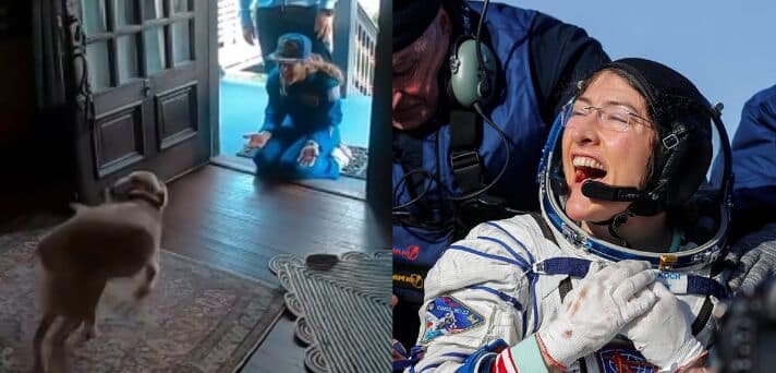 NASA Astronaut Christina Koch’s Heartwarming Reunion With Her Dog Sadie After Moon Mission Goes Viral |
