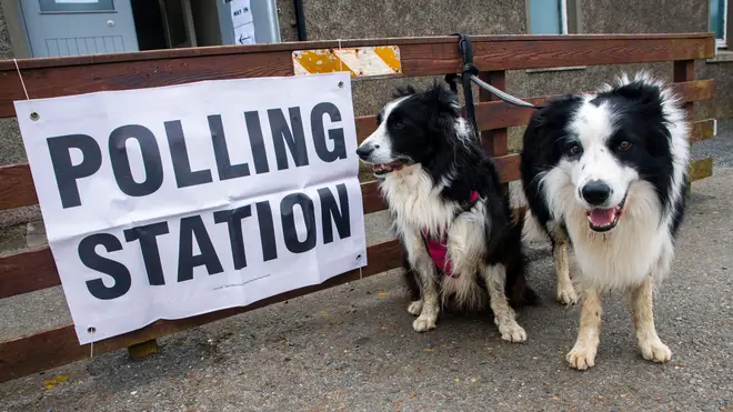 Dogs Show Up to UK Local Elections 2026, and Honestly, They Deserved a Vote