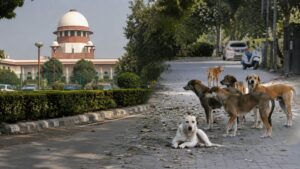 supreme court on stray dog