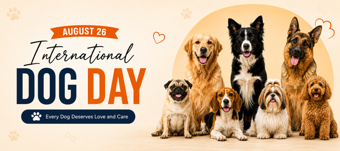 International dog day