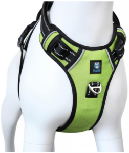 hank dog harness