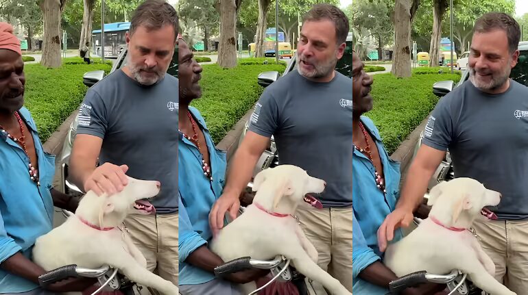 rahul gandhi with dog