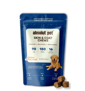Absolut pet dog