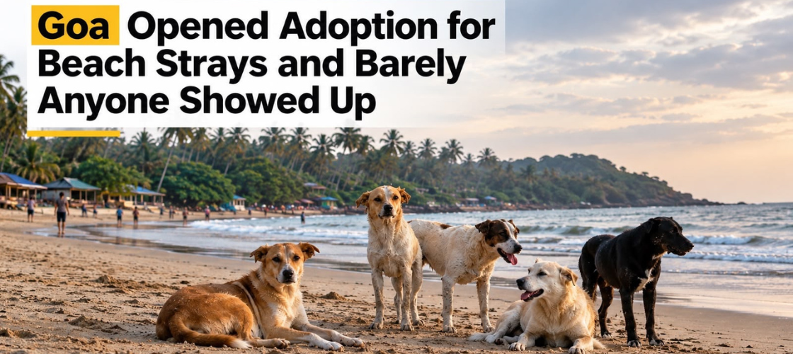 Goa open adoption