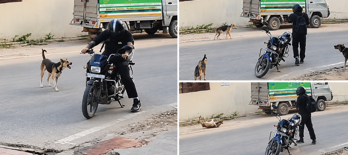 Lucknow Biker Shoots Stray Dog