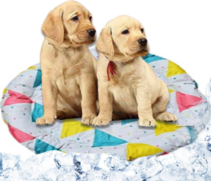 Pet cooling mat