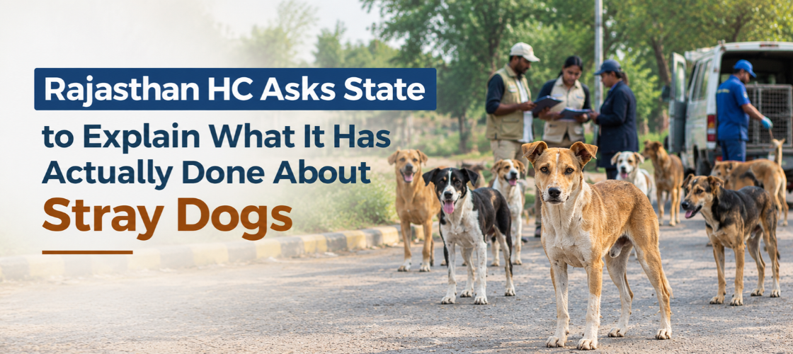 Rajasthan HC asked state