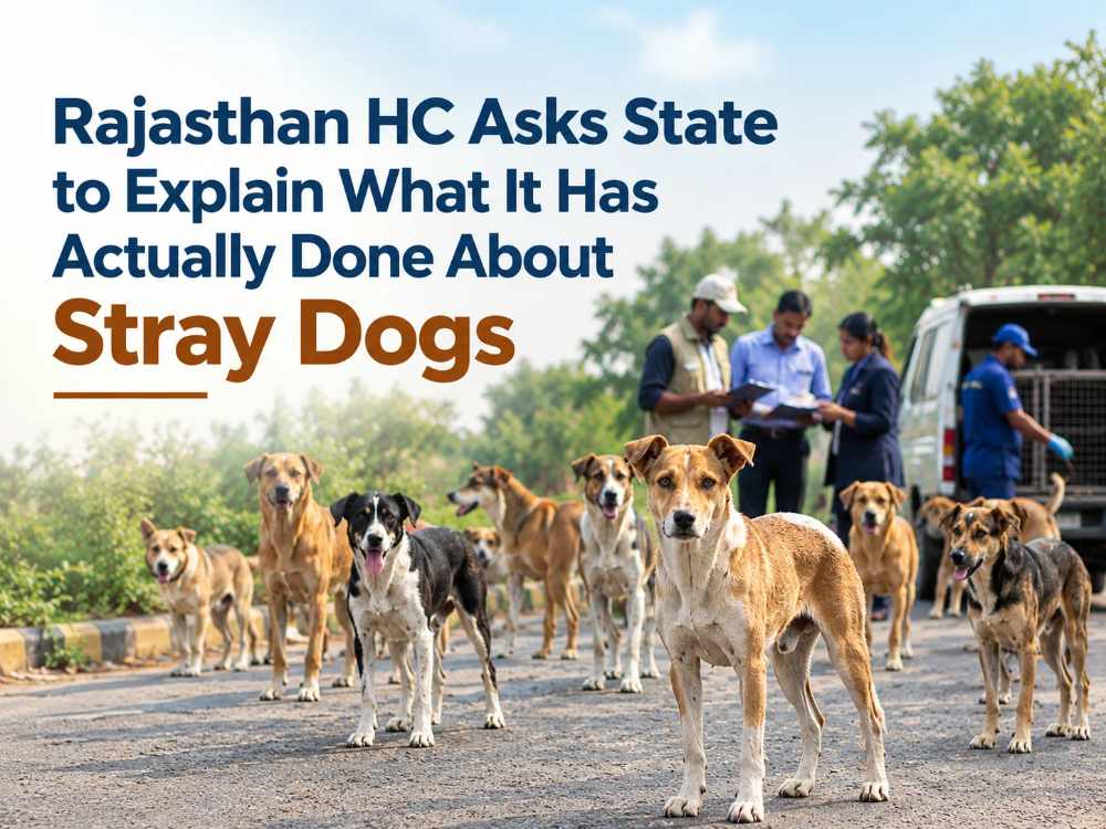 Rajasthan HC asked state