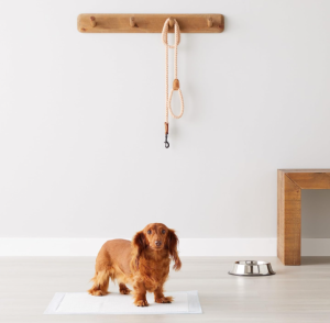 dog pad