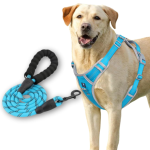 Dog Harness Leash