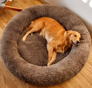 pet beds
